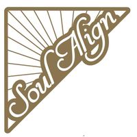 SoulAlign: Crystal For Sale